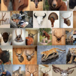 Nate's Taxidermy photo gallery