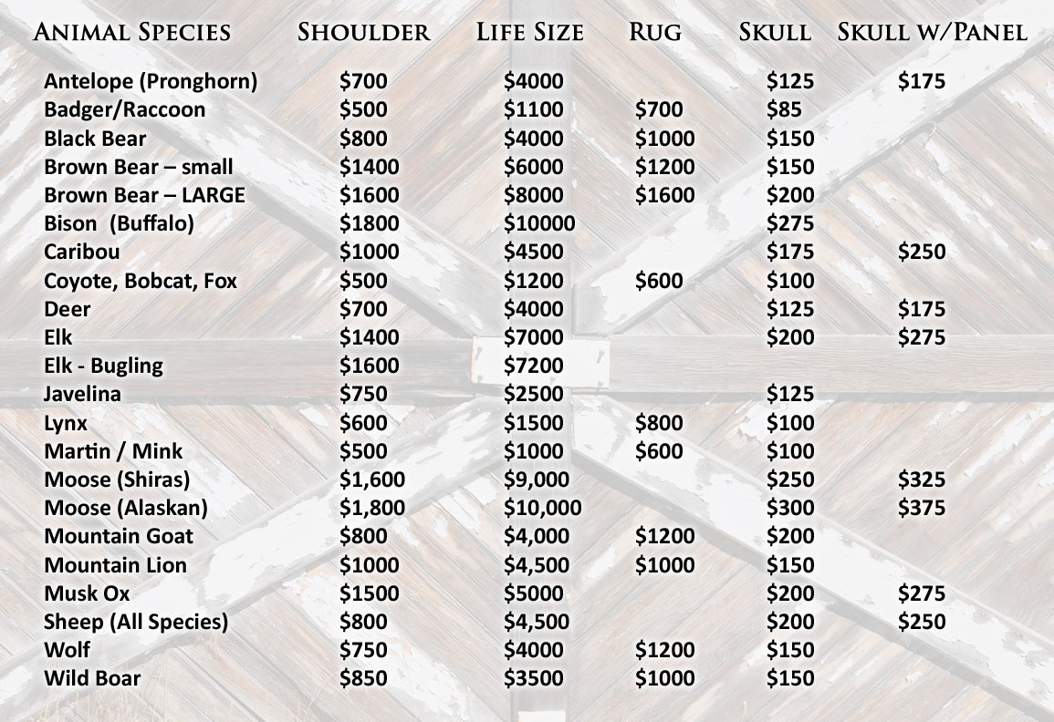 Taxidermy price list updated 2023